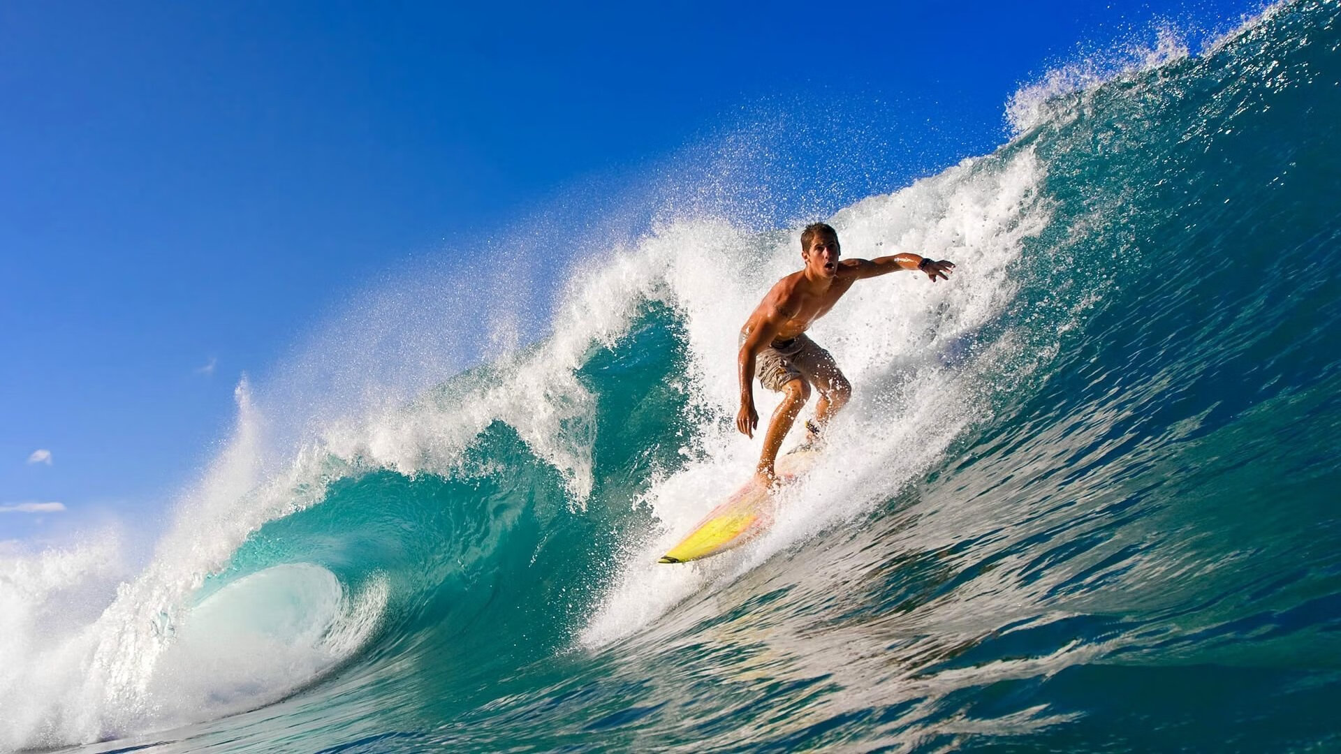 开云体育入口-奥利维耶之夜,抢七的火焰与冠军的铸成 第2张 开云体育入口-奥利维耶之夜,抢七的火焰与冠军的铸成 第2张